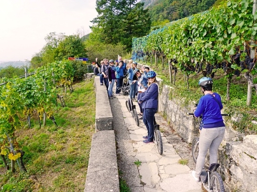 Team Events für Gruppen und Firmen